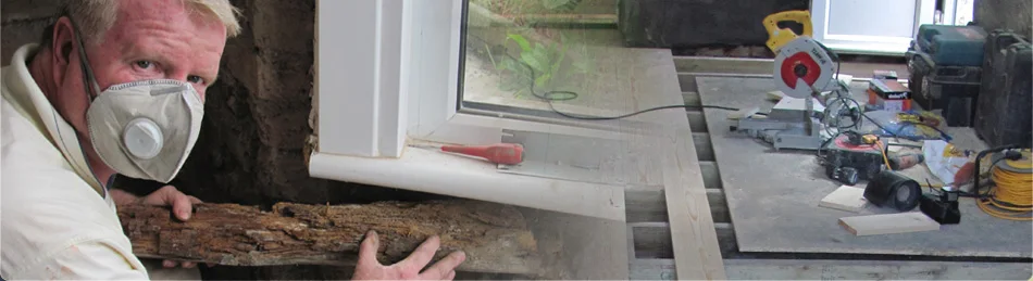 Woodworm Treatment
