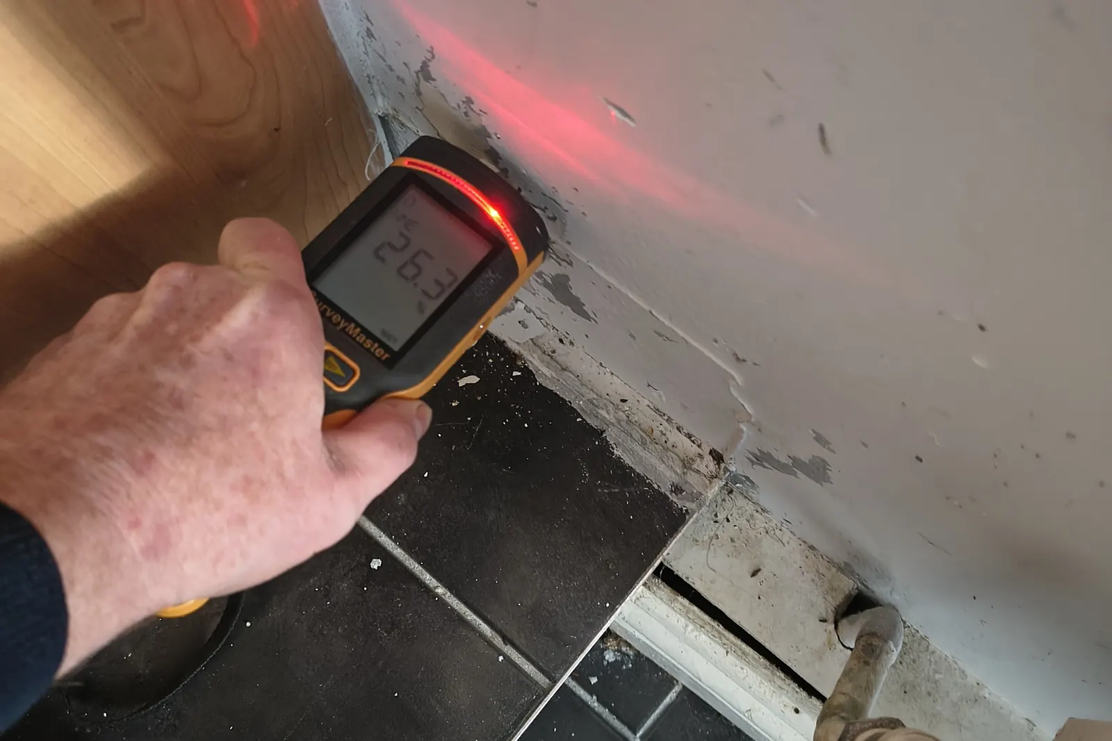Pre-Purchase Damp & Timber Surveys